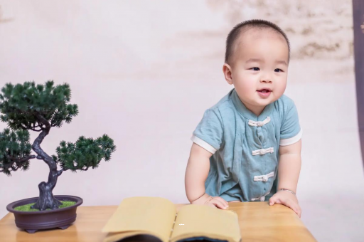 南漳可爱的企鹅宝宝